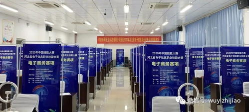 衡水市武邑職教中心教師在河北省電子信息服務業職業技能大賽中榮獲佳績，彰顯信息電子技術服務專業實力