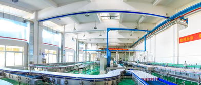 宗慶后暢談娃哈哈罐頭產業 以創新與軟件思維引領，精準滿足消費者需求